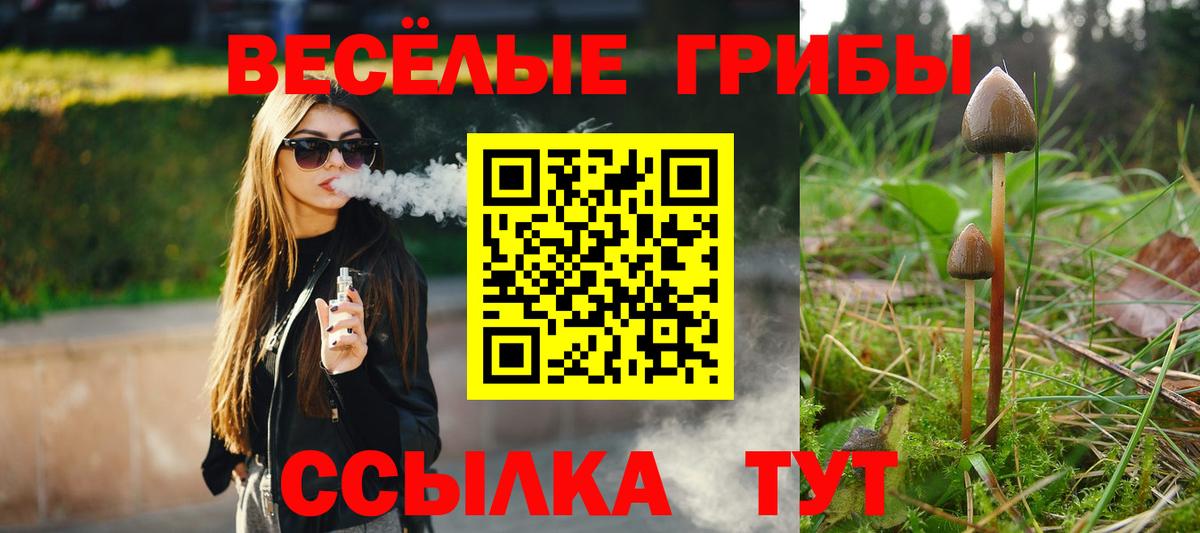 сколько стоит  Вход с VPN  Псилоцибиновые грибы GOLDEN TEACHER  Воронеж  Псилоцибиновые грибы мицелий 